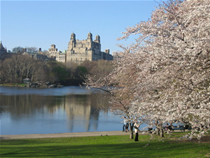 central park