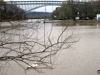 Inwood